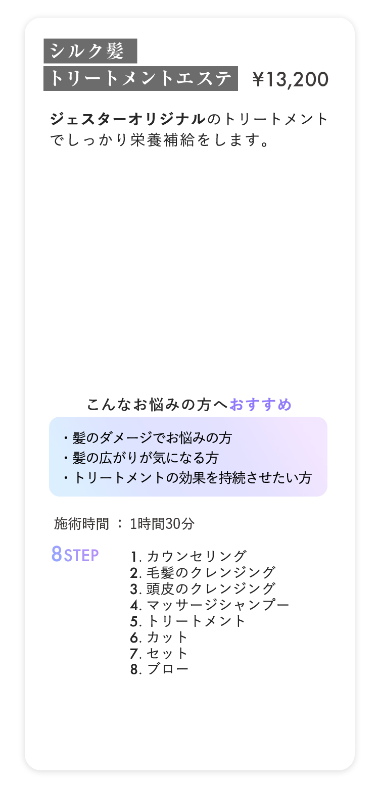 シルク髪トリートメントエステ ¥13,200
                        
ジェスターオリジナルのアウトバズトリートメント
                        
でしっかり栄養補給をします。
                        

                        
こんなお悩みの方へおすすめ
                        
・髪のダメージでお悩みの方
                        
・髪の広がりが気になる方
                        
・トリートメントの効果を持続させたい方
                        

                        
施術時間：1時間30分 8STEP
                        
1.カウンセリング
                        
2.毛髪のクレンジング
                        
3.頭皮のクレンジング
                        
4.マッサージシャンプー
                        
5.トリートメント
                        
6.カット
                        
7.セット
                        
8.ブロー