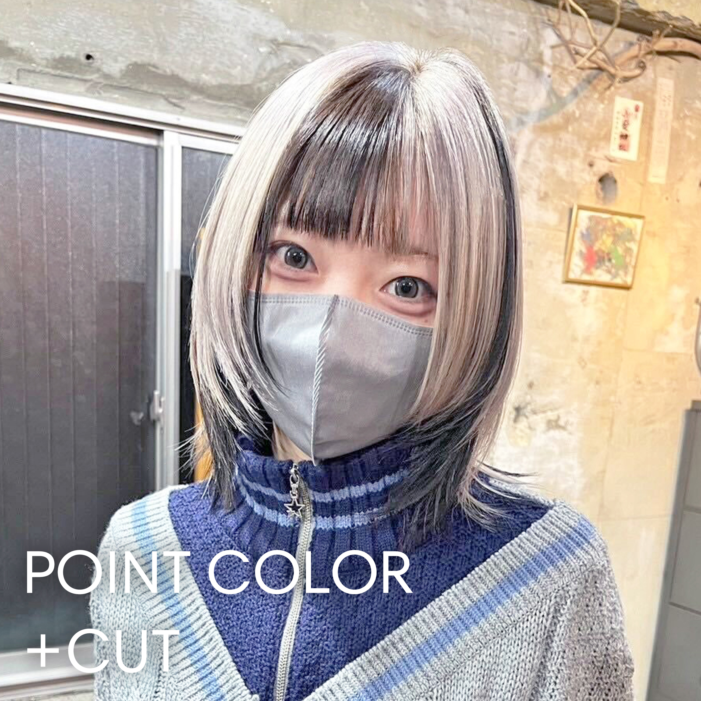 POINT COLOR +CUT