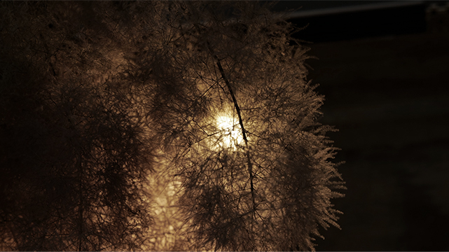 店内イメージ07