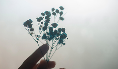 店内イメージ09